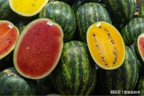 安溪网红吃瓜事件真相,真相背后的网络风波 第3张 安溪网红吃瓜事件真相,真相背后的网络风波 第3张